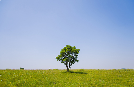 完善制度，规范流程，严格履行信息披露义务