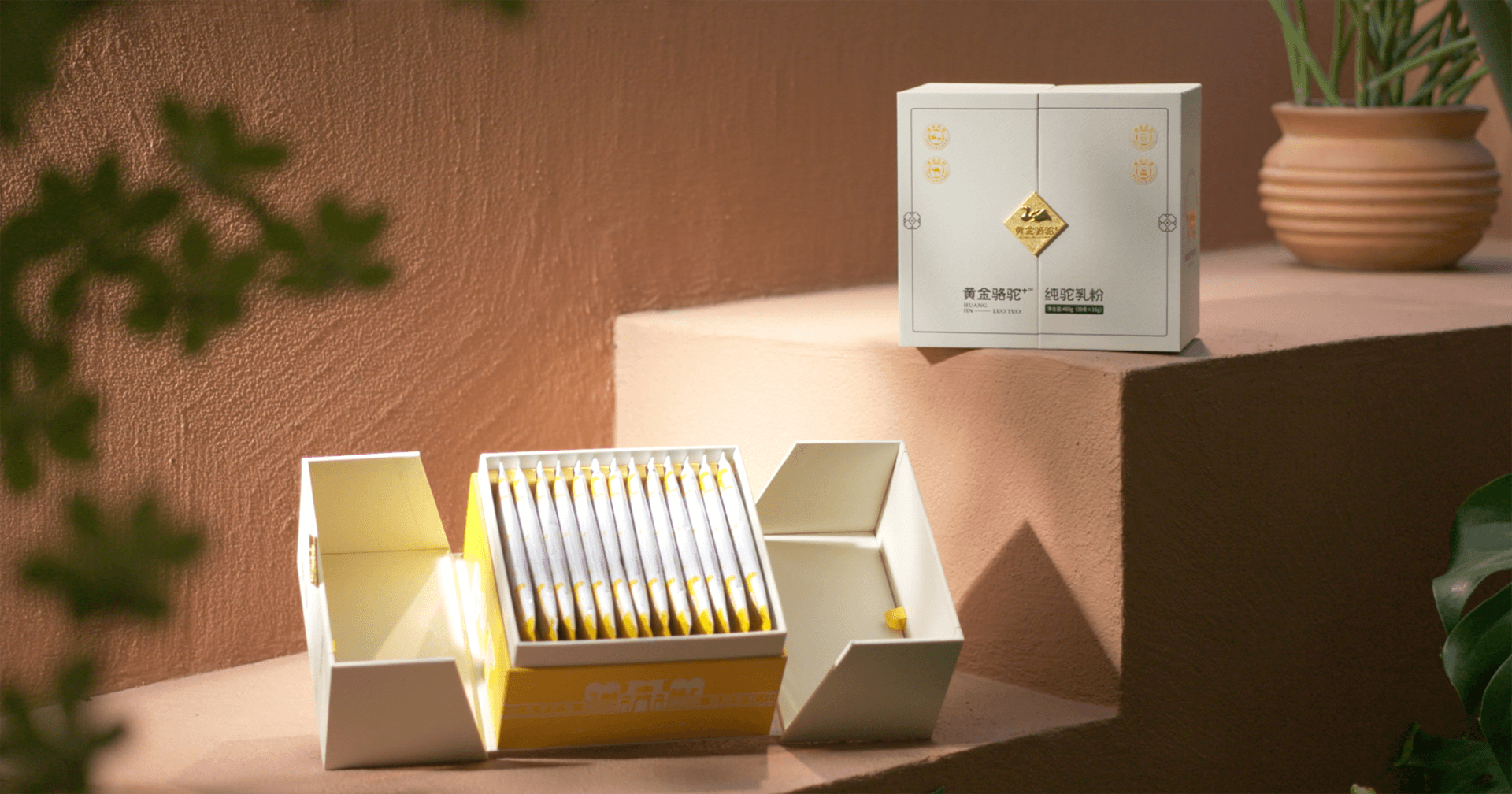 定位小众高端乳粉，jinnianhui今年会推出驼奶品牌“黄金骆驼+”，角逐乳品新市场！